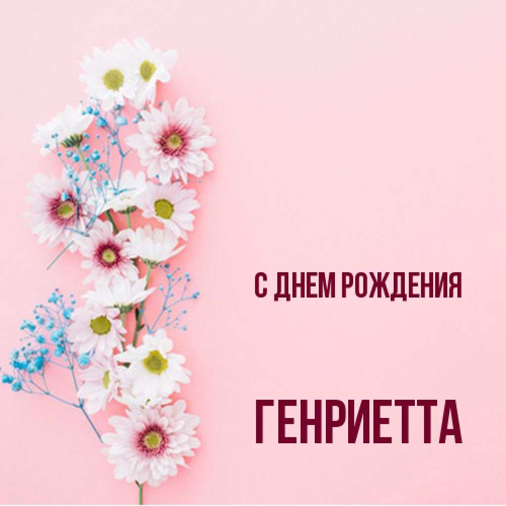 Открытка на каждый день с именем, Генриетта С днем рождения Родная моя с днем рождения тебя картинка с цветами белыми и голубыми Прикольная открытка с пожеланием онлайн скачать бесплатно 