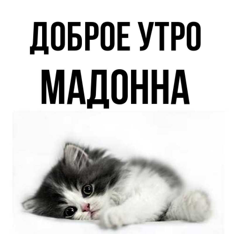 Картинка Доброе утро, Мадонна