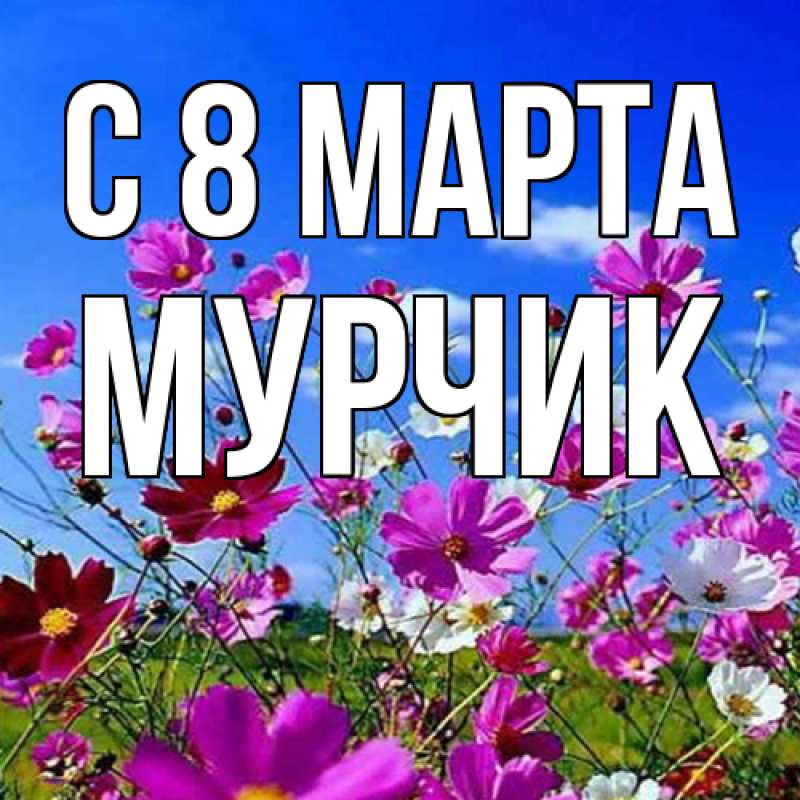 Картинка C 8 МАРТА, Мурчик