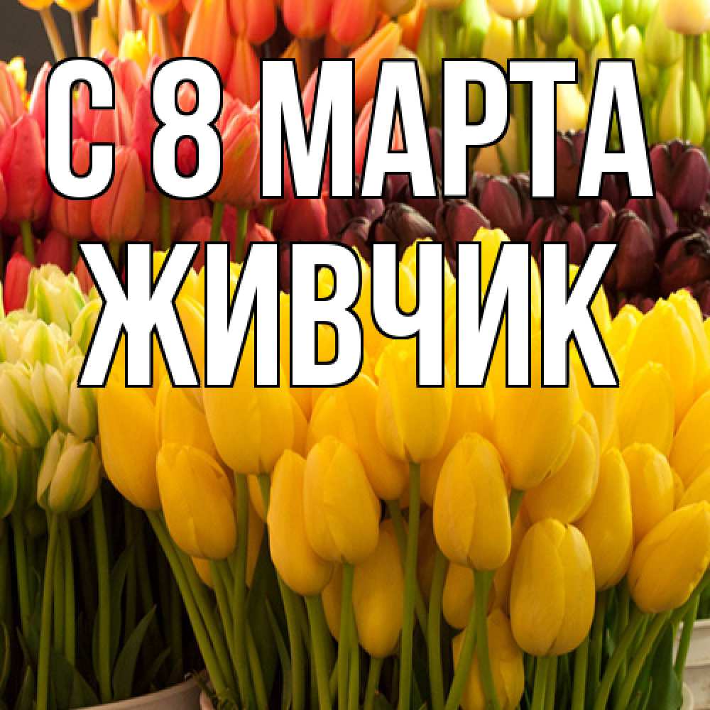 Открытка на каждый день с именем, Живчик C 8 МАРТА цветы Прикольная открытка с пожеланием онлайн скачать бесплатно 