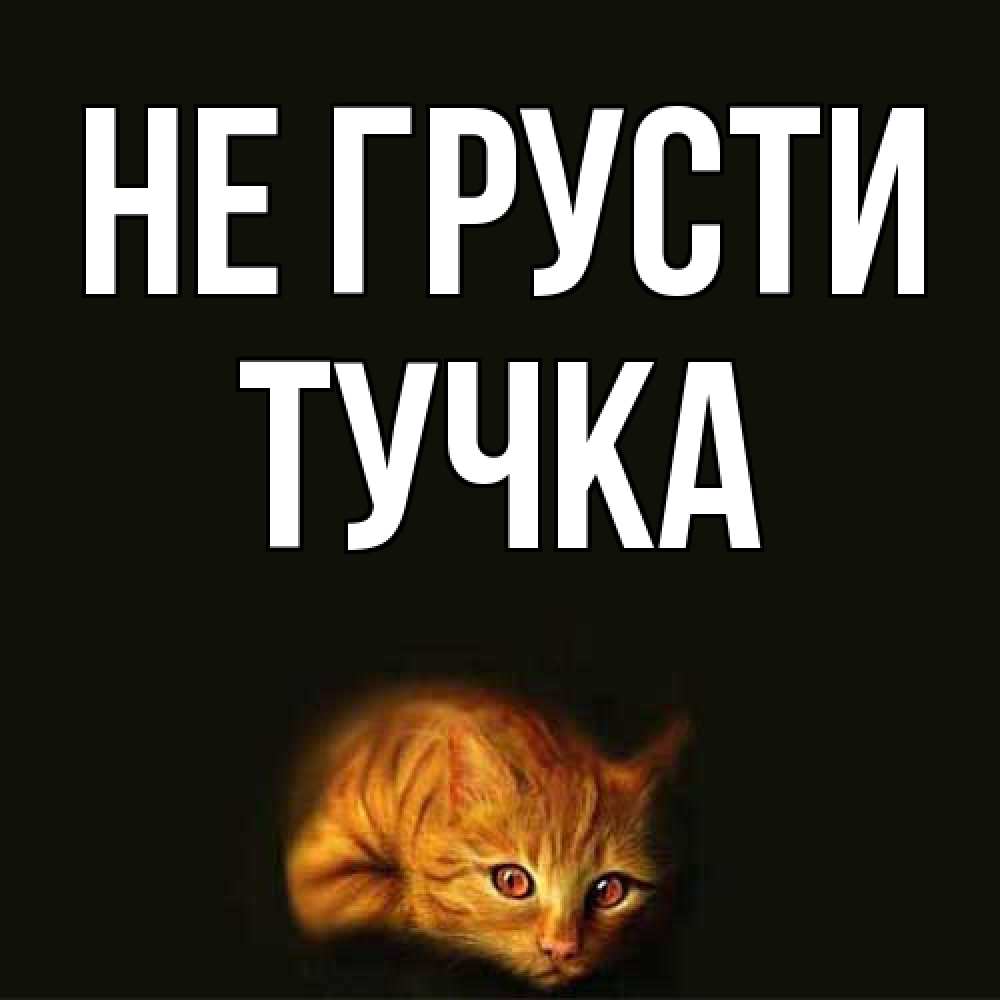 Открытка на каждый день с именем, Тучка Не грусти лежащий кот в темноте Прикольная открытка с пожеланием онлайн скачать бесплатно 