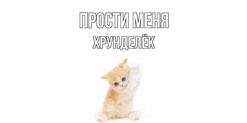 Картинка Прости меня, Хрунделёк
