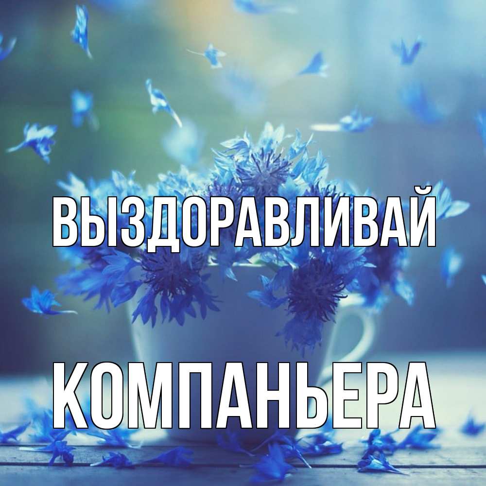 Открытка на каждый день с именем, Компаньера Выздоравливай кружка с зельем и цветами Прикольная открытка с пожеланием онлайн скачать бесплатно 