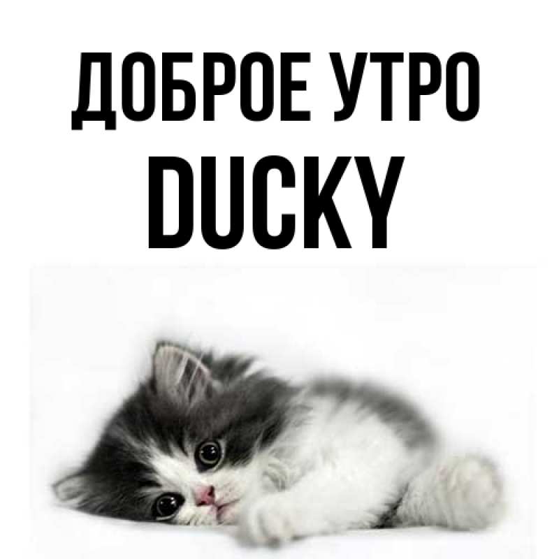 Картинка Доброе утро, Ducky