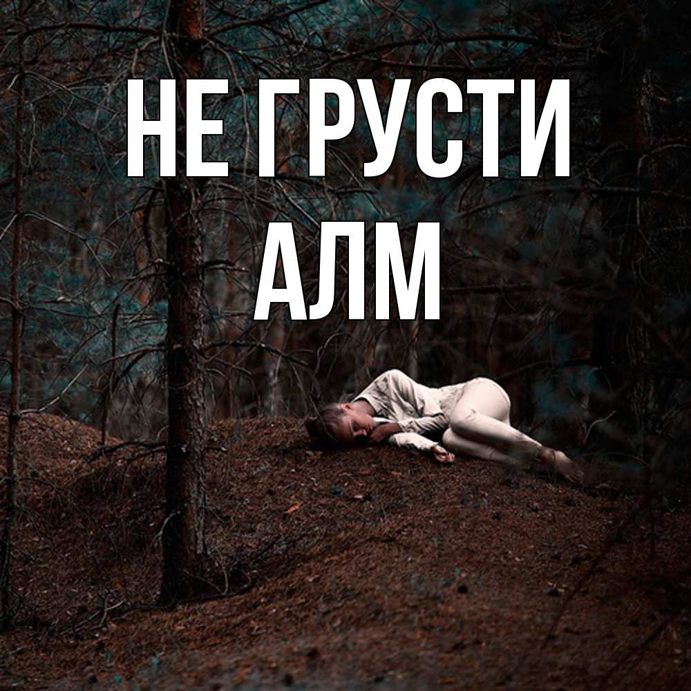 Открытка на каждый день с именем, Алм Не грусти лес Прикольная открытка с пожеланием онлайн скачать бесплатно 