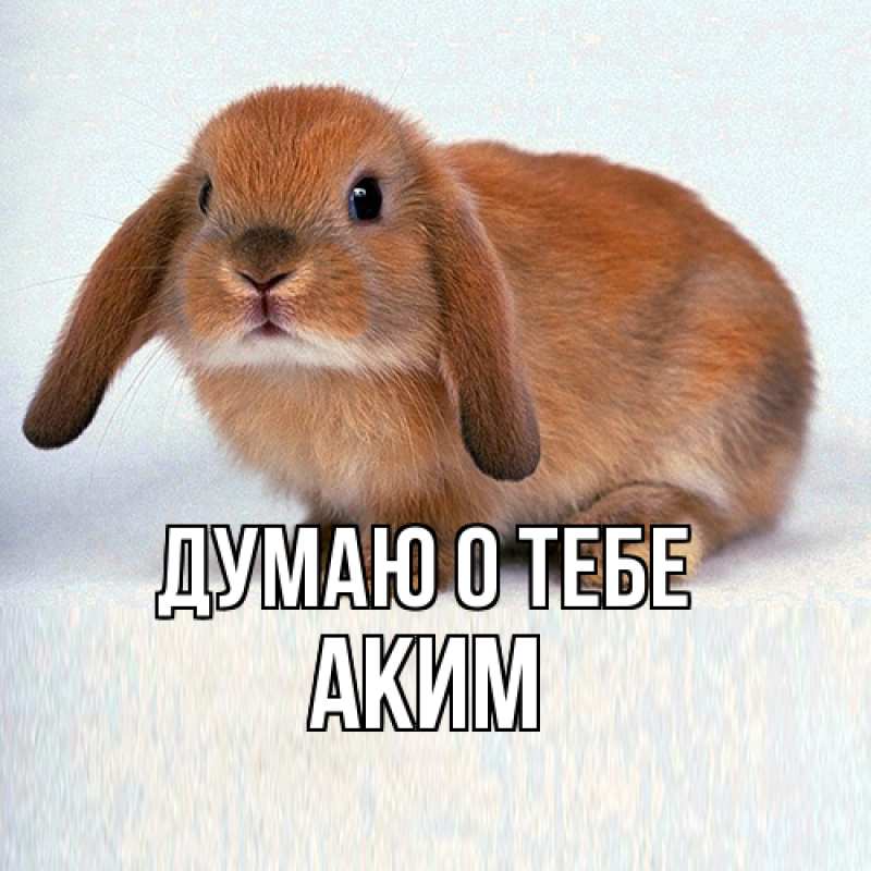 Картинка Думаю о тебе, Аким