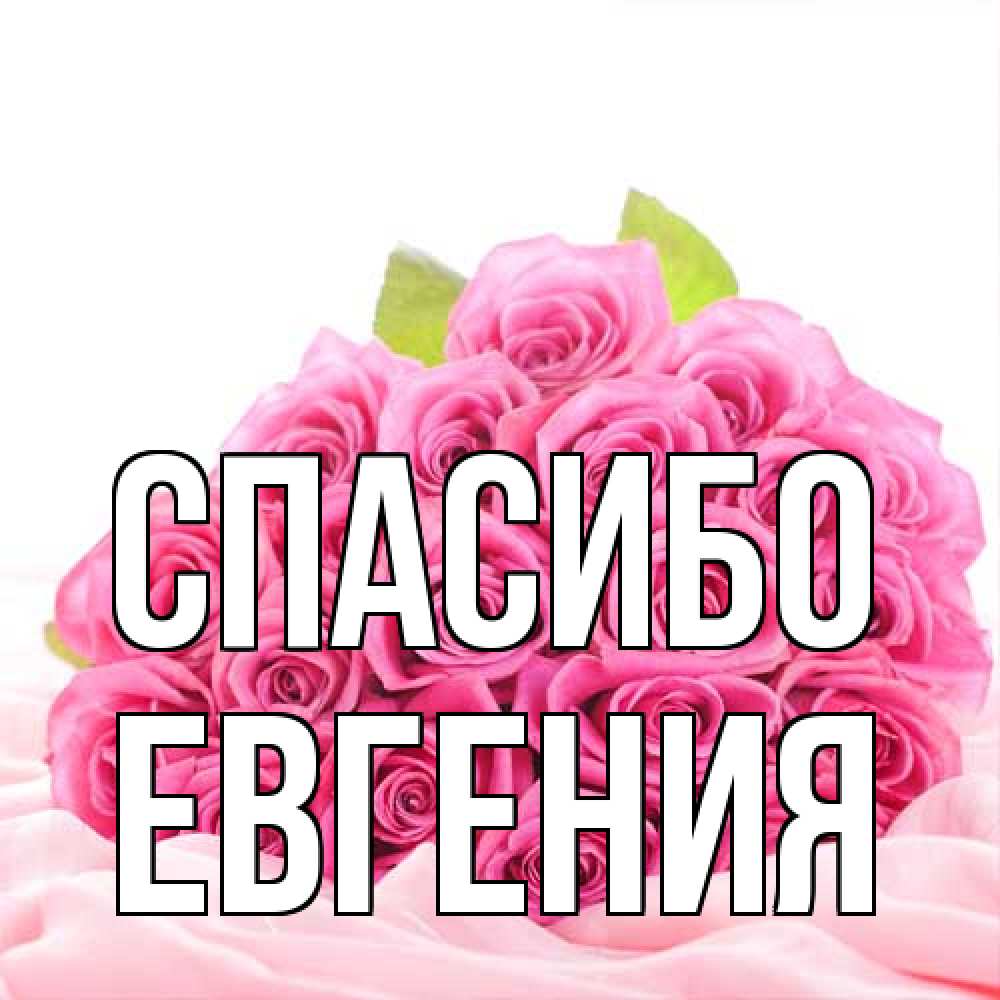 Открытка на каждый день с именем, Евгения Спасибо розовые розы с подписью Прикольная открытка с пожеланием онлайн скачать бесплатно 
