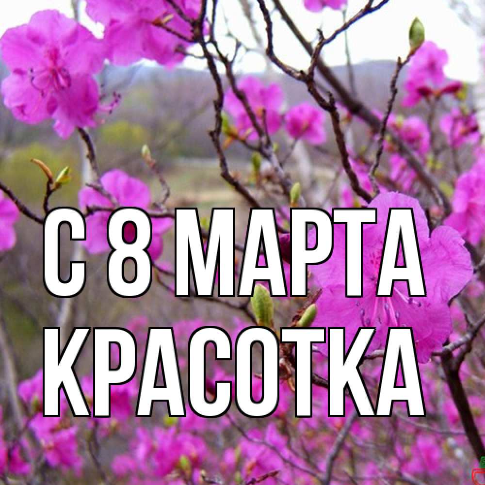 Открытка на каждый день с именем, Красотка C 8 МАРТА международный женский день Прикольная открытка с пожеланием онлайн скачать бесплатно 