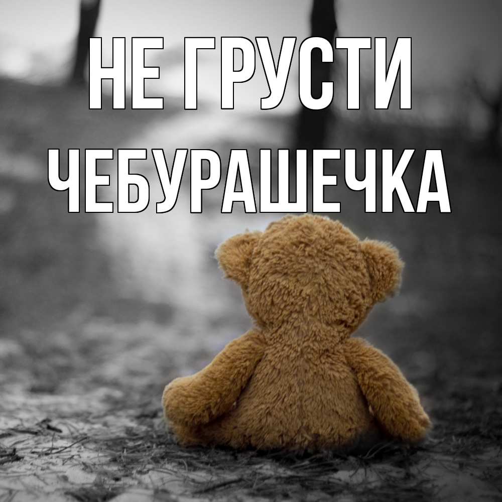 Открытка на каждый день с именем, Чебурашечка Не грусти медведь со спин Прикольная открытка с пожеланием онлайн скачать бесплатно 