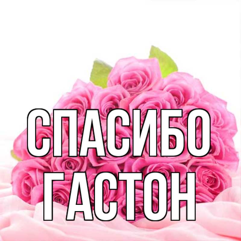 Картинка Спасибо, Гастон