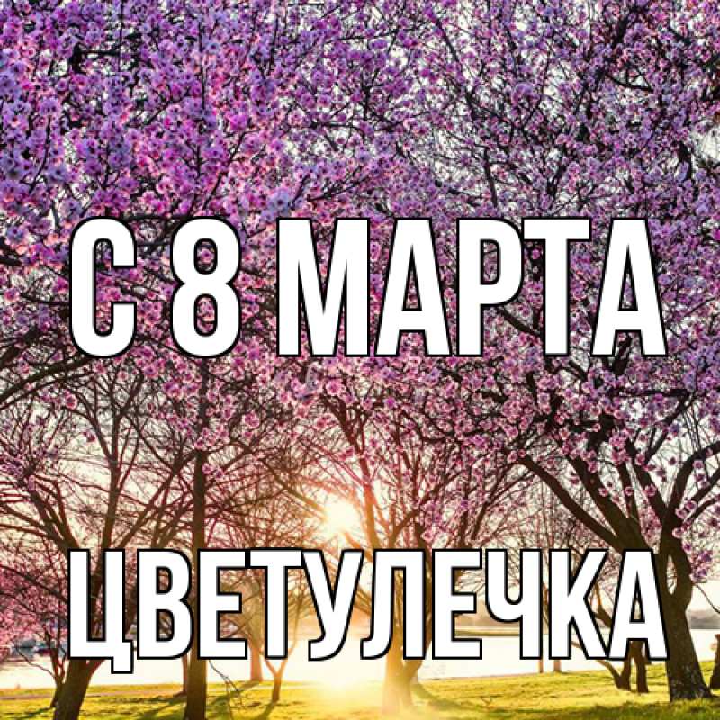 Картинка C 8 МАРТА, Цветулечка