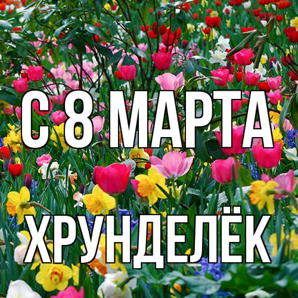 Открытка на каждый день с именем, Хрунделёк C 8 МАРТА с международным женским днем поздравления для женщины Прикольная открытка с пожеланием онлайн скачать бесплатно 