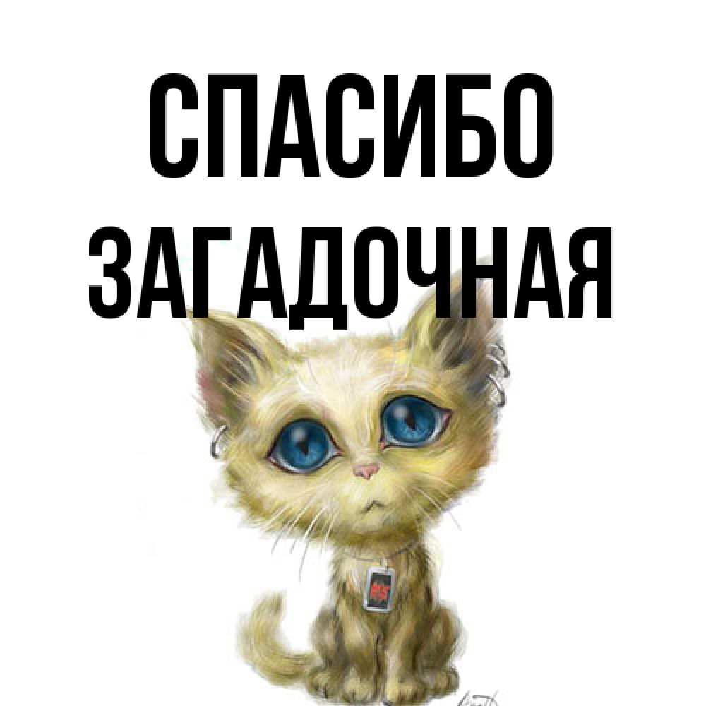 Открытка на каждый день с именем, загадочная Спасибо рисованный кот благодарит вас Прикольная открытка с пожеланием онлайн скачать бесплатно 