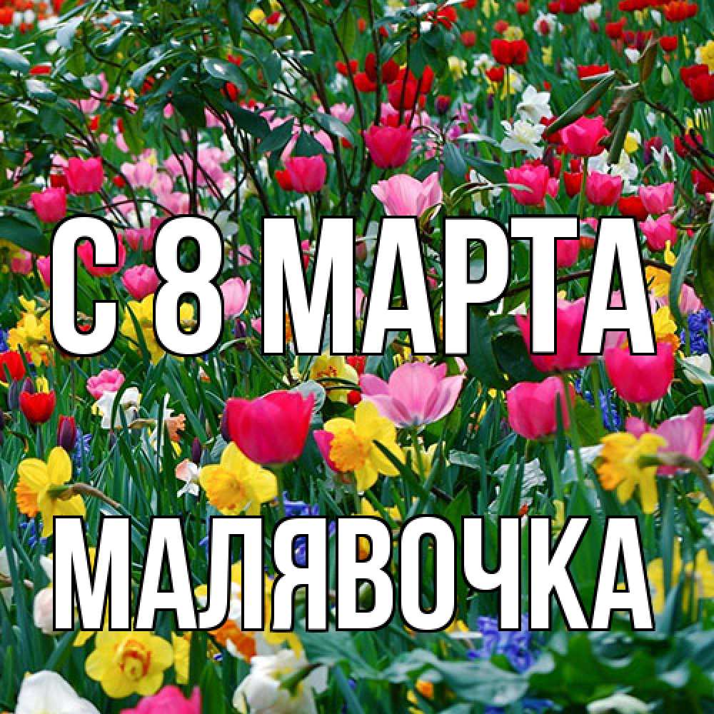 Открытка на каждый день с именем, малявочка C 8 МАРТА с международным женским днем поздравления для женщины Прикольная открытка с пожеланием онлайн скачать бесплатно 