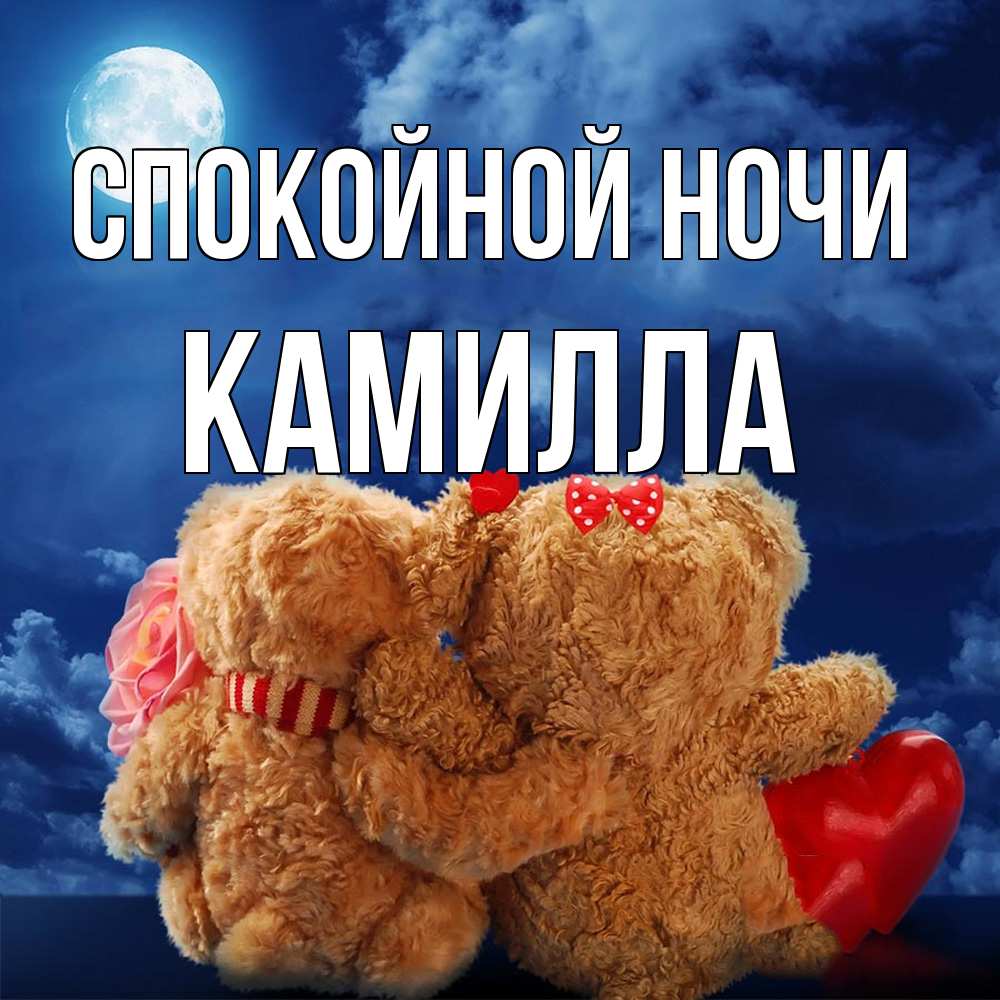 Открытка на каждый день с именем, Камилла Спокойной ночи плюшевые Прикольная открытка с пожеланием онлайн скачать бесплатно 