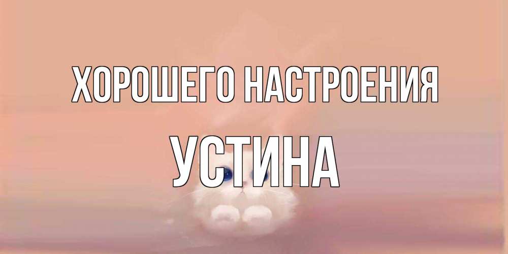 Открытка на каждый день с именем, Устина Хорошего настроения кошка Прикольная открытка с пожеланием онлайн скачать бесплатно 