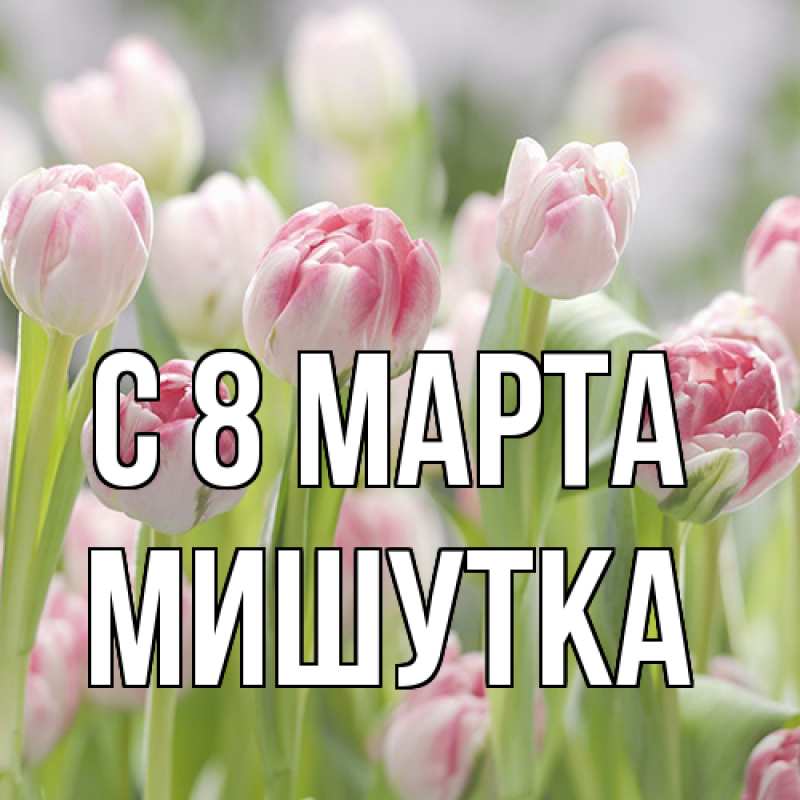Картинка C 8 МАРТА, Мишутка