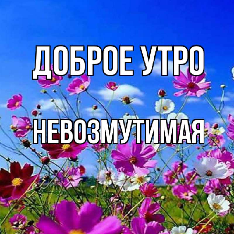 Картинка Доброе утро, Невозмутимая