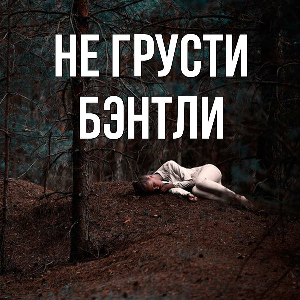 Открытка на каждый день с именем, Бэнтли Не грусти лес Прикольная открытка с пожеланием онлайн скачать бесплатно 