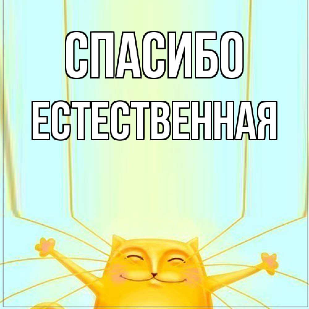 Открытка на каждый день с именем, Естественная Спасибо кот с усами благодарит Прикольная открытка с пожеланием онлайн скачать бесплатно 