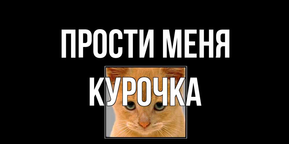 Открытка на каждый день с именем, Курочка Прости меня рыжий грустный кот просит прощения Прикольная открытка с пожеланием онлайн скачать бесплатно 