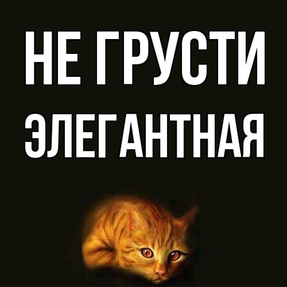 Открытка на каждый день с именем, элегантная Не грусти лежащий кот в темноте Прикольная открытка с пожеланием онлайн скачать бесплатно 