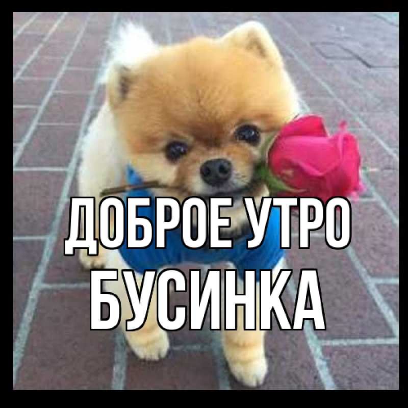 Картинка Доброе утро, Бусинка