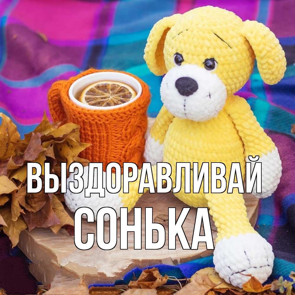 Открытка на каждый день с именем, Сонька Выздоравливай не болей и пей чай с лимоном Прикольная открытка с пожеланием онлайн скачать бесплатно 