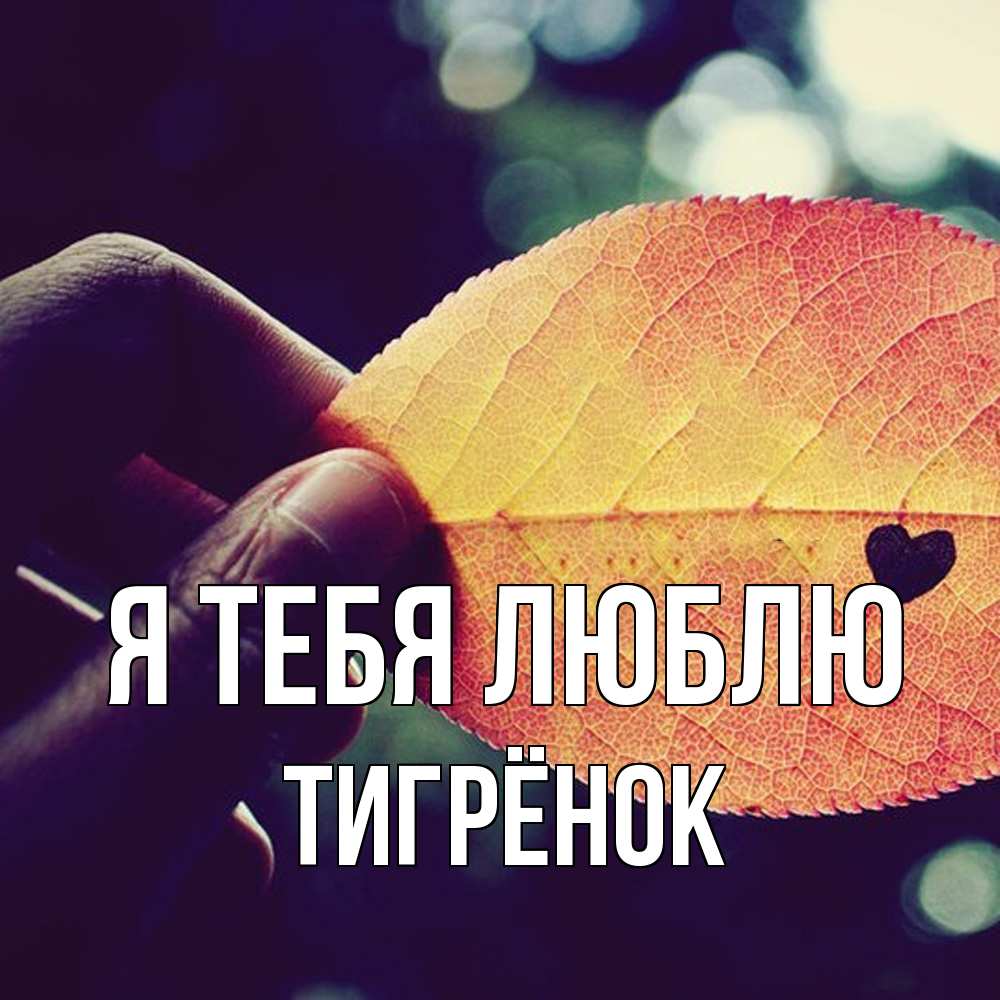 Открытка на каждый день с именем, Тигрёнок Я тебя люблю держу лист Прикольная открытка с пожеланием онлайн скачать бесплатно 