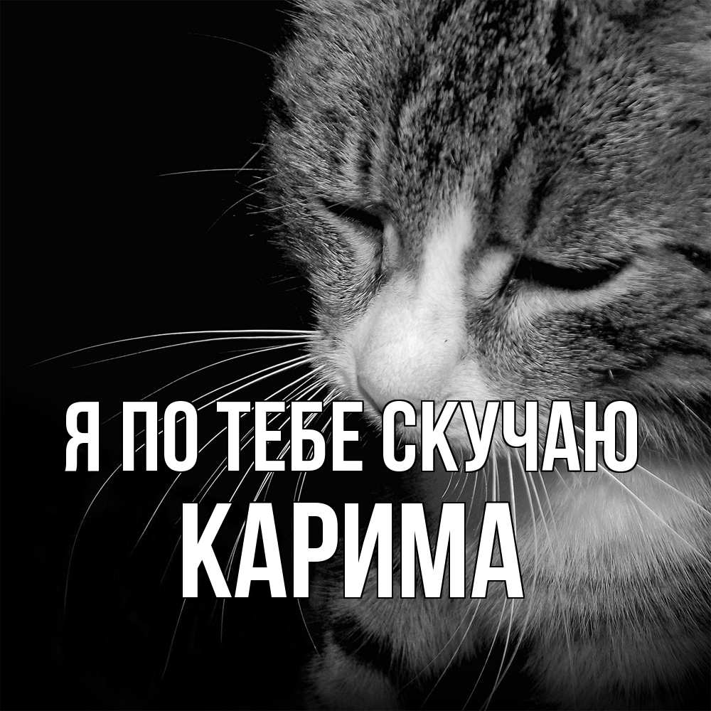 Открытка на каждый день с именем, Карима Я по тебе скучаю мне скучно Прикольная открытка с пожеланием онлайн скачать бесплатно 