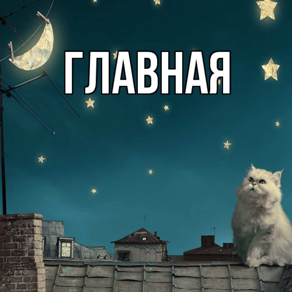Открытка на каждый день с именем, настя Главная белый кот сидит на крыше Прикольная открытка с пожеланием онлайн скачать бесплатно 