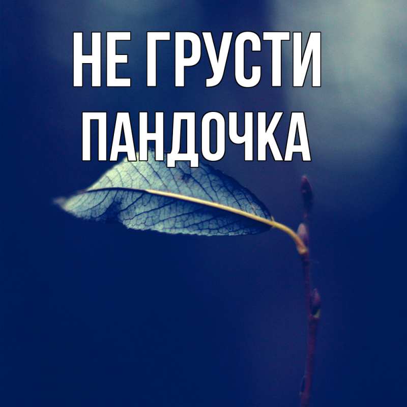 Картинка Не грусти, пандочка