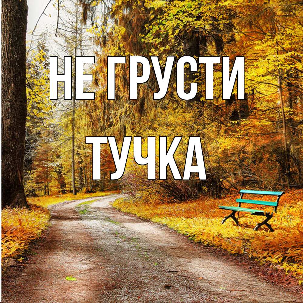 Открытка на каждый день с именем, Тучка Не грусти зеленая лавочка Прикольная открытка с пожеланием онлайн скачать бесплатно 