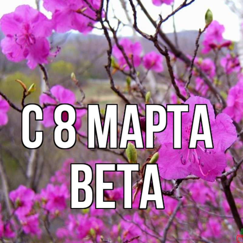 Картинка C 8 МАРТА, Вета