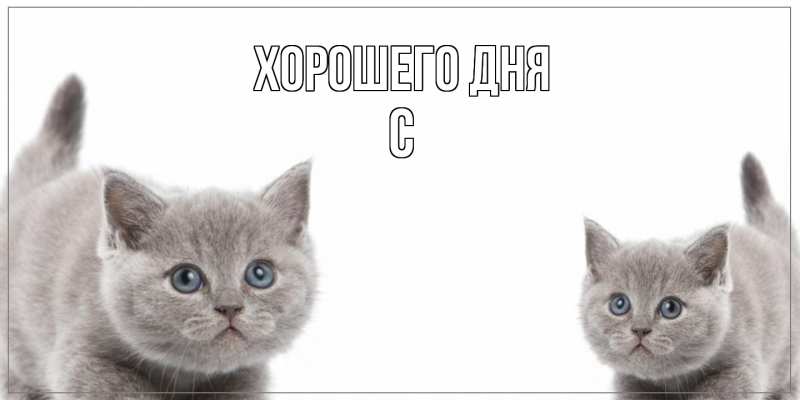 Картинка Хорошего дня, С