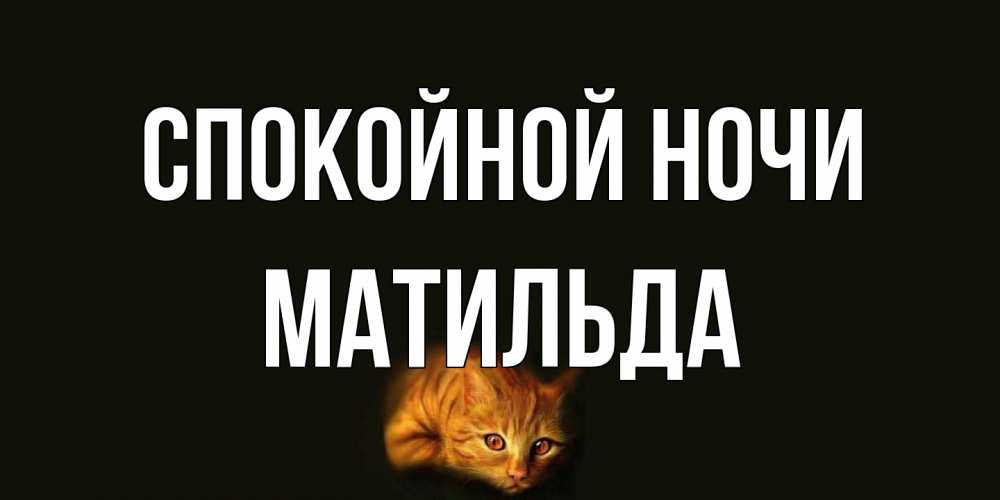 Открытка на каждый день с именем, Матильда Спокойной ночи кот Прикольная открытка с пожеланием онлайн скачать бесплатно 