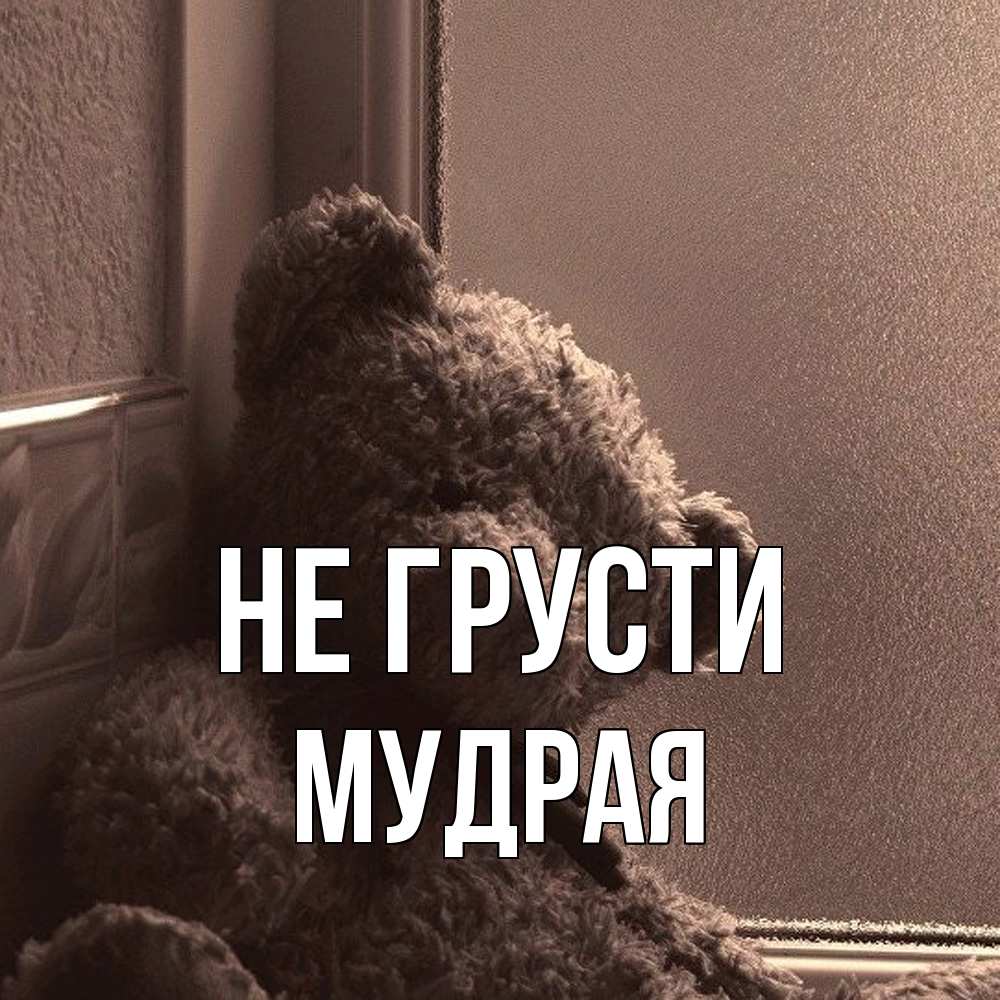 Открытка на каждый день с именем, Мудpая Не грусти стекол рефленое Прикольная открытка с пожеланием онлайн скачать бесплатно 