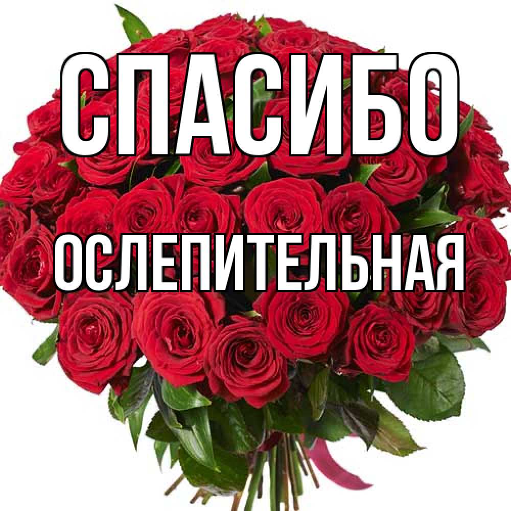 Открытка на каждый день с именем, Ослепительная Спасибо букет красных роз Прикольная открытка с пожеланием онлайн скачать бесплатно 