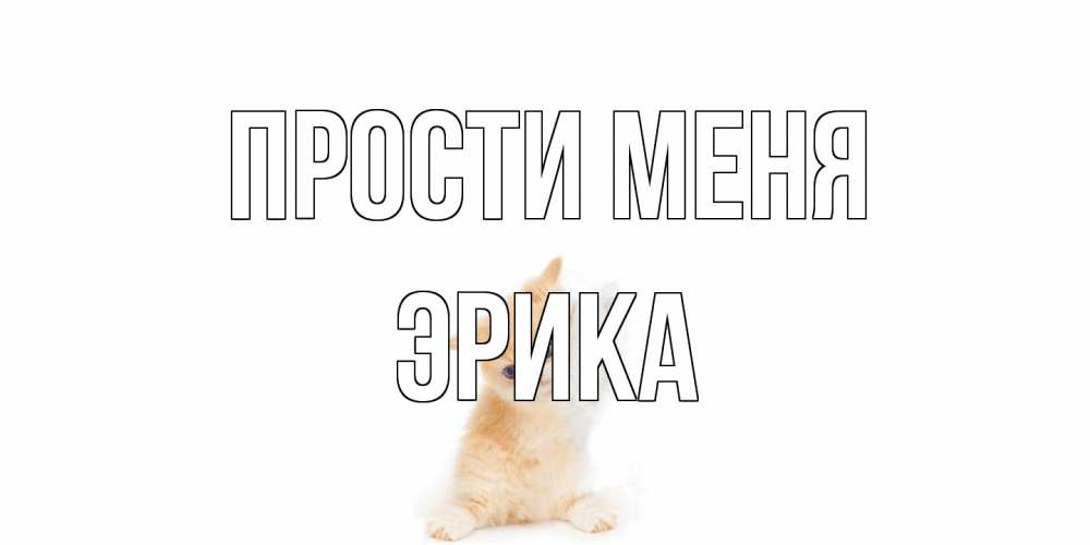 Открытка на каждый день с именем, Эрика Прости меня кот Прикольная открытка с пожеланием онлайн скачать бесплатно 