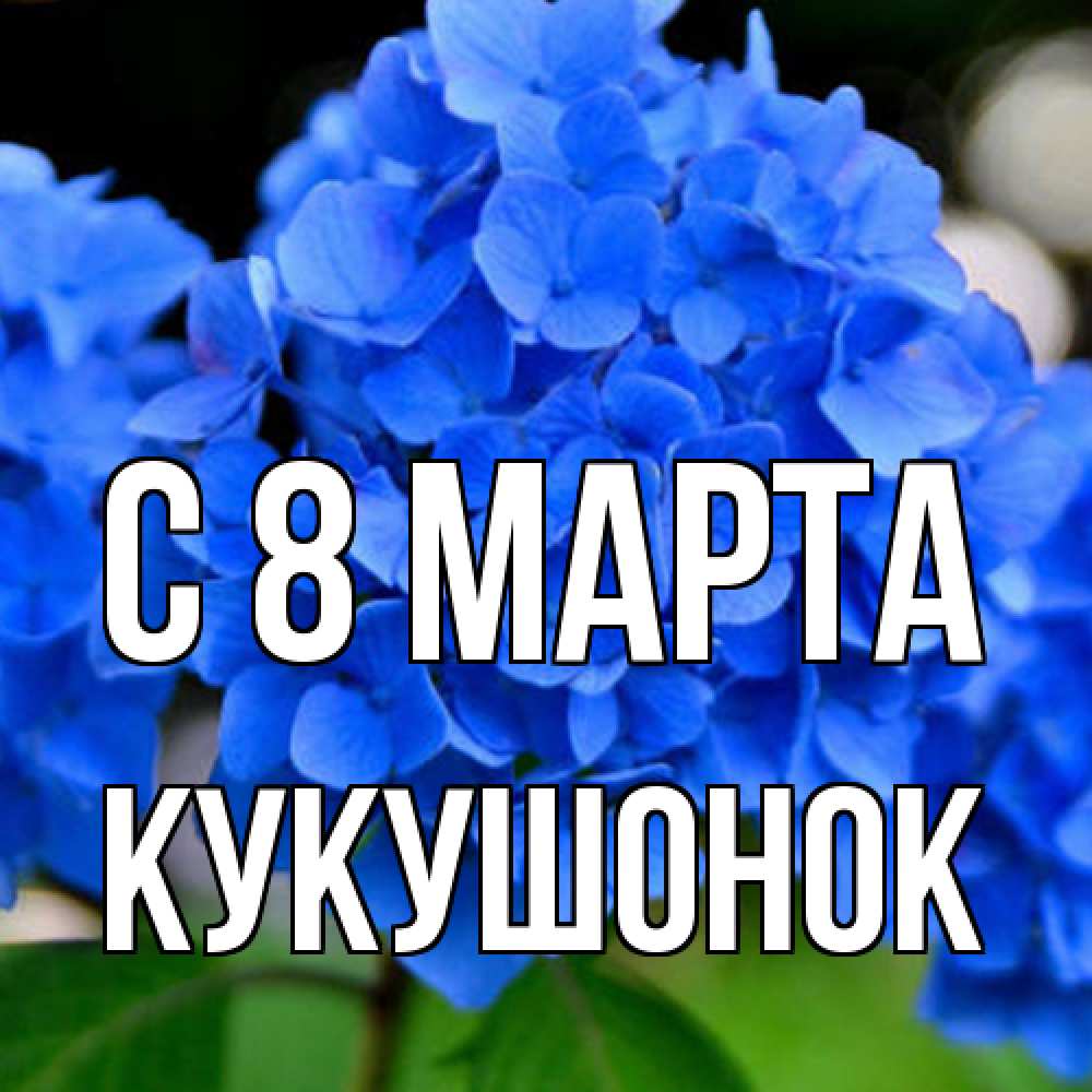 Открытка на каждый день с именем, кукушонок C 8 МАРТА синие цветы Прикольная открытка с пожеланием онлайн скачать бесплатно 