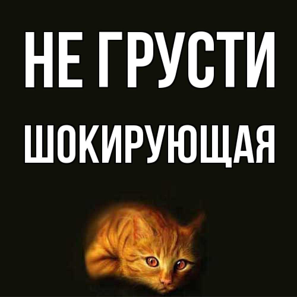 Открытка на каждый день с именем, Шокирующая Не грусти лежащий кот в темноте Прикольная открытка с пожеланием онлайн скачать бесплатно 