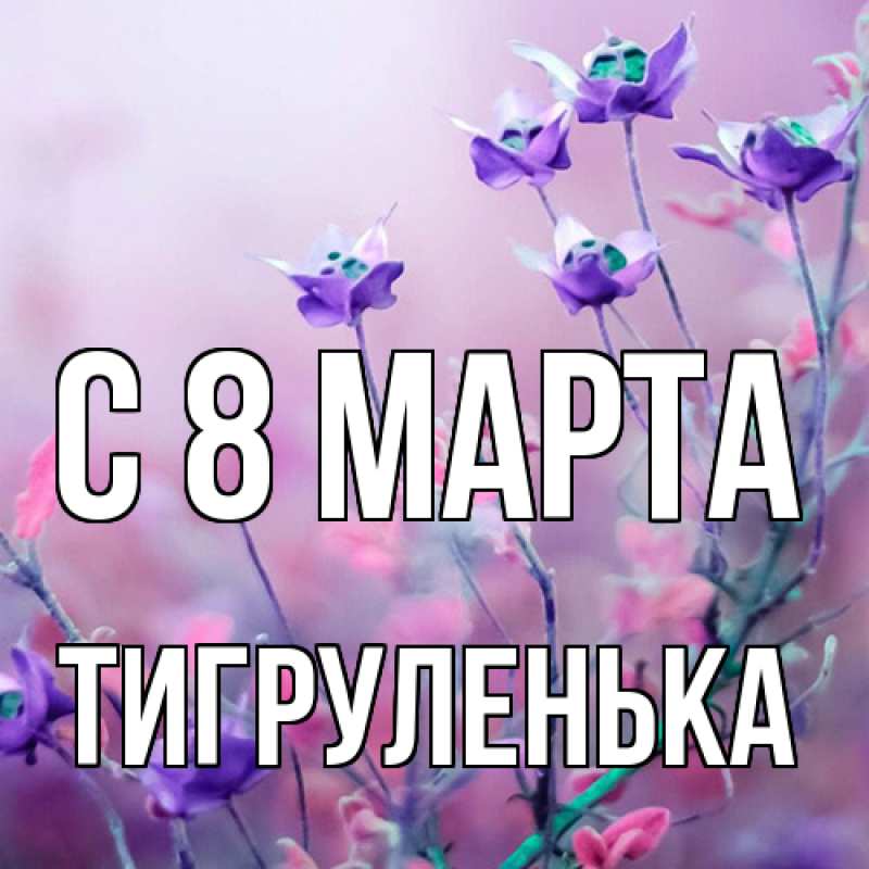 Картинка C 8 МАРТА, Тигpуленька