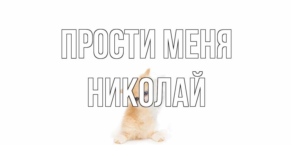 Открытка на каждый день с именем, Николай Прости меня кот Прикольная открытка с пожеланием онлайн скачать бесплатно 