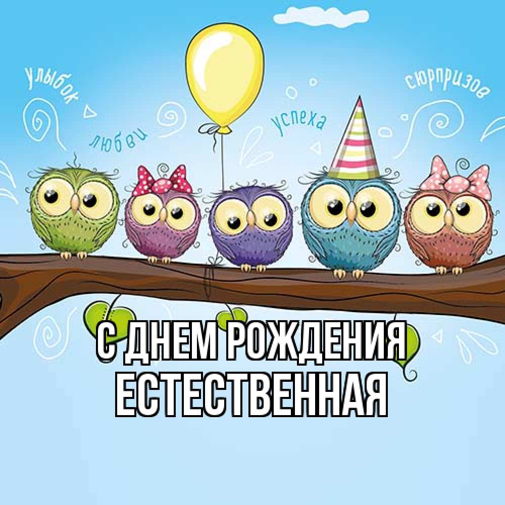 Открытка на каждый день с именем, Естественная С днем рождения совы Прикольная открытка с пожеланием онлайн скачать бесплатно 