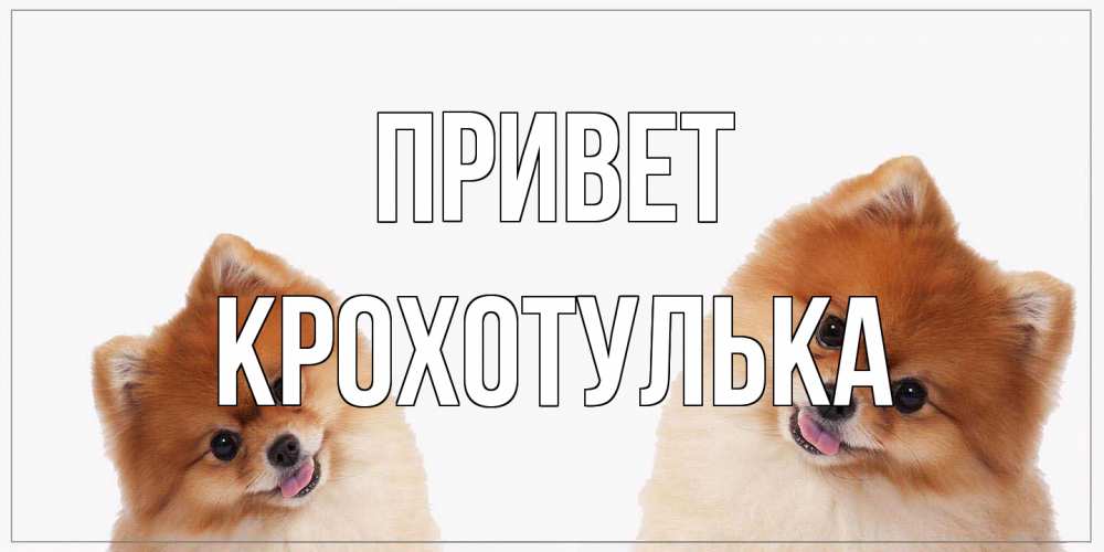 Открытка на каждый день с именем, крохотулька Привет привет Прикольная открытка с пожеланием онлайн скачать бесплатно 