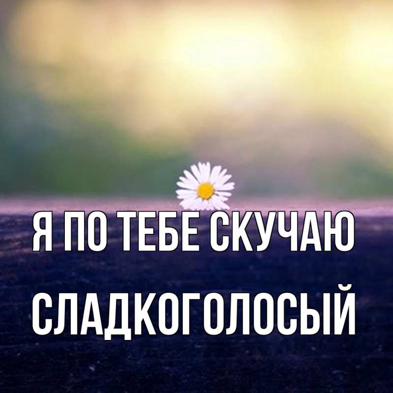 Картинка Я по тебе скучаю, Сладкоголосый