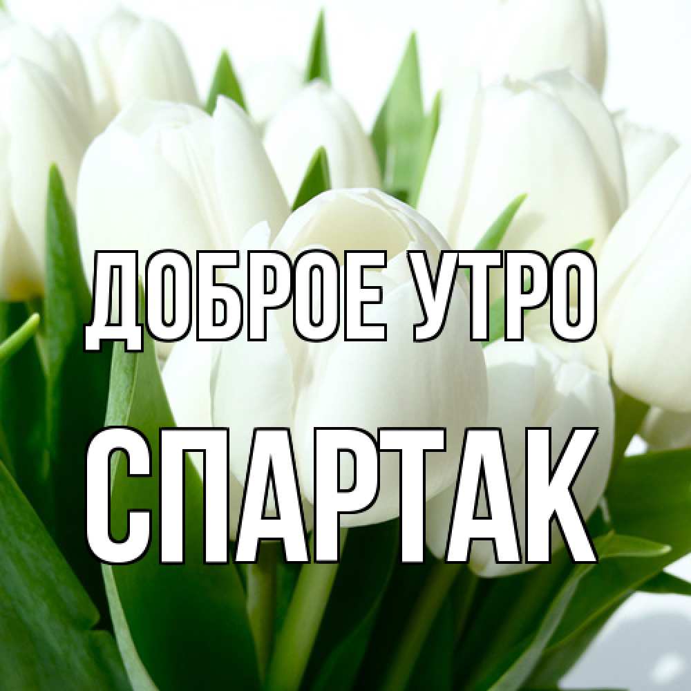 Открытка на каждый день с именем, Спартак Доброе утро открытки на каждый день по именам Прикольная открытка с пожеланием онлайн скачать бесплатно 