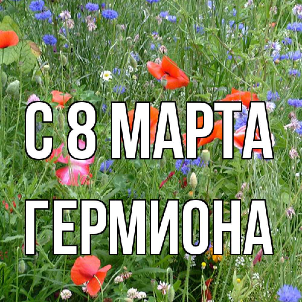 Открытка на каждый день с именем, Гермиона C 8 МАРТА международный женский день 4 Прикольная открытка с пожеланием онлайн скачать бесплатно 