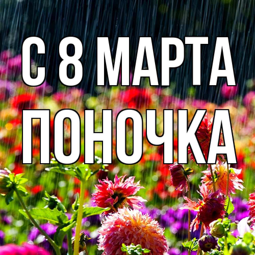 Открытка на каждый день с именем, поночка C 8 МАРТА цветы под дождиком к международному женскому дню Прикольная открытка с пожеланием онлайн скачать бесплатно 