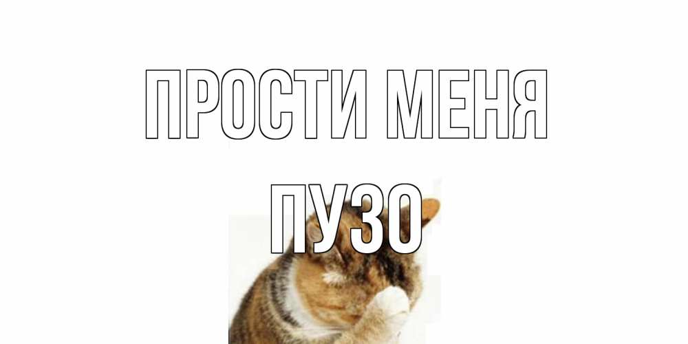 Открытка на каждый день с именем, Пузо Прости меня кот Прикольная открытка с пожеланием онлайн скачать бесплатно 